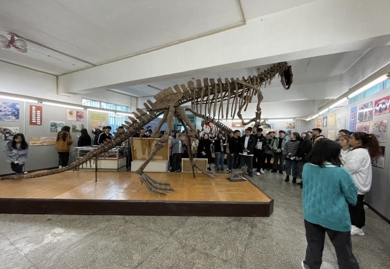 5.jpg 5.jpg